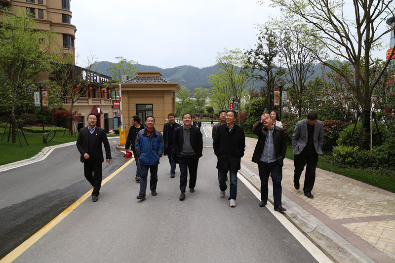 集團(tuán)公司領(lǐng)導(dǎo)調(diào)研瀾庭國(guó)際項(xiàng)目建設(shè)銷(xiāo)售情況