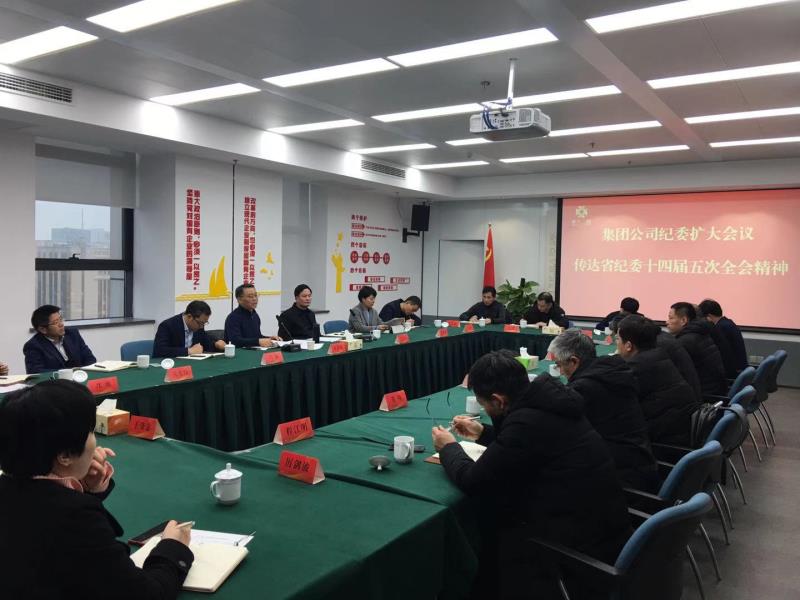 集團(tuán)公司紀(jì)委召開(kāi)全體（擴(kuò)大）會(huì)議學(xué)習(xí)傳達(dá)中央紀(jì)委和省紀(jì)委全會(huì)精神