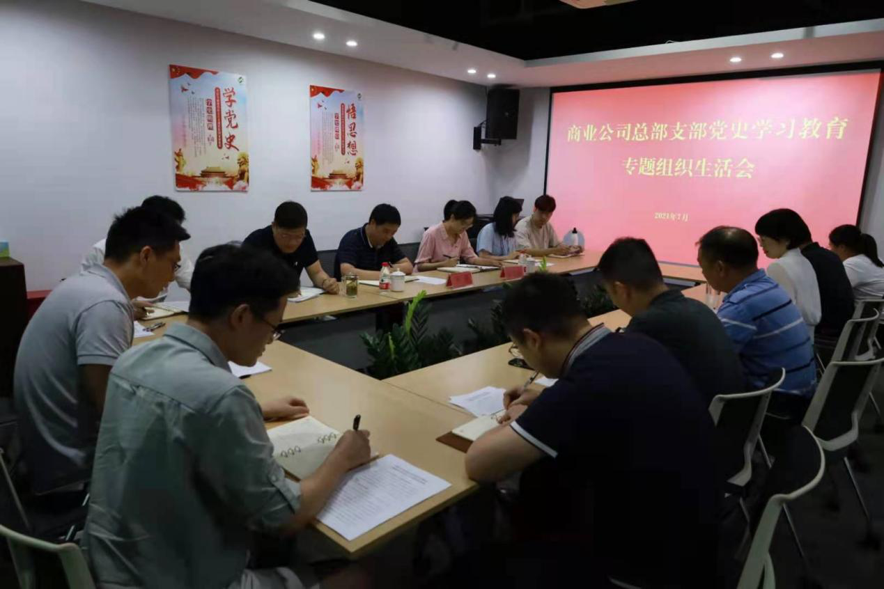 商業(yè)公司召開黨史學習教育黨支部專題組織生活會